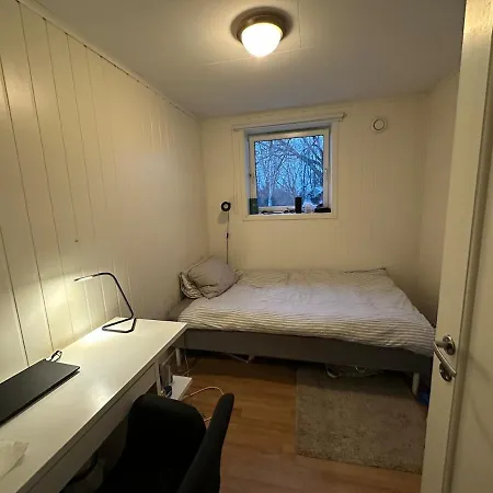 5 For Ski-world Championship